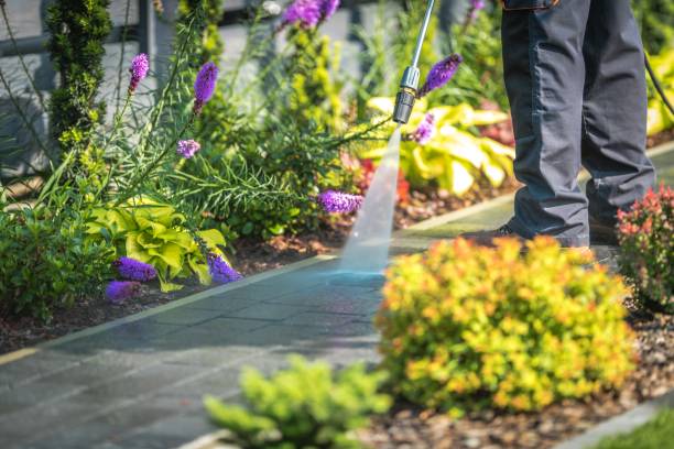 Best Sign and Awning Cleaning  in Blooming Prairie, MN